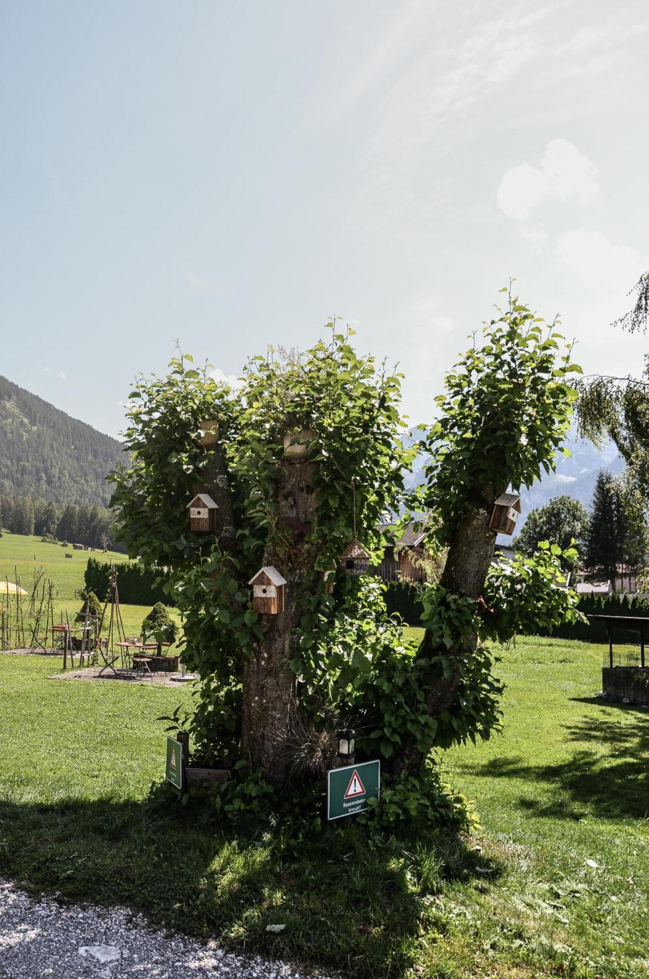 Hotel Ehrwalderhof Exterior photo